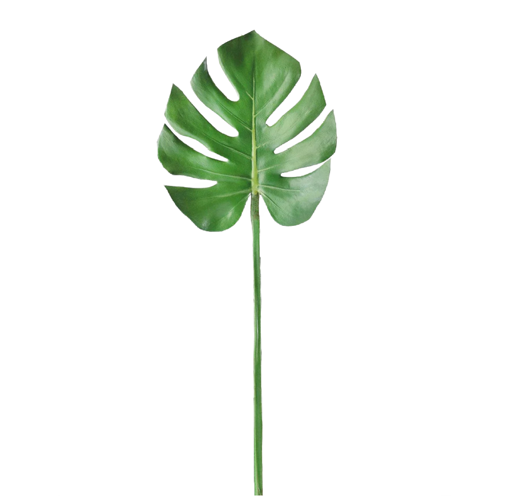 29" Monstera Leaf Spray