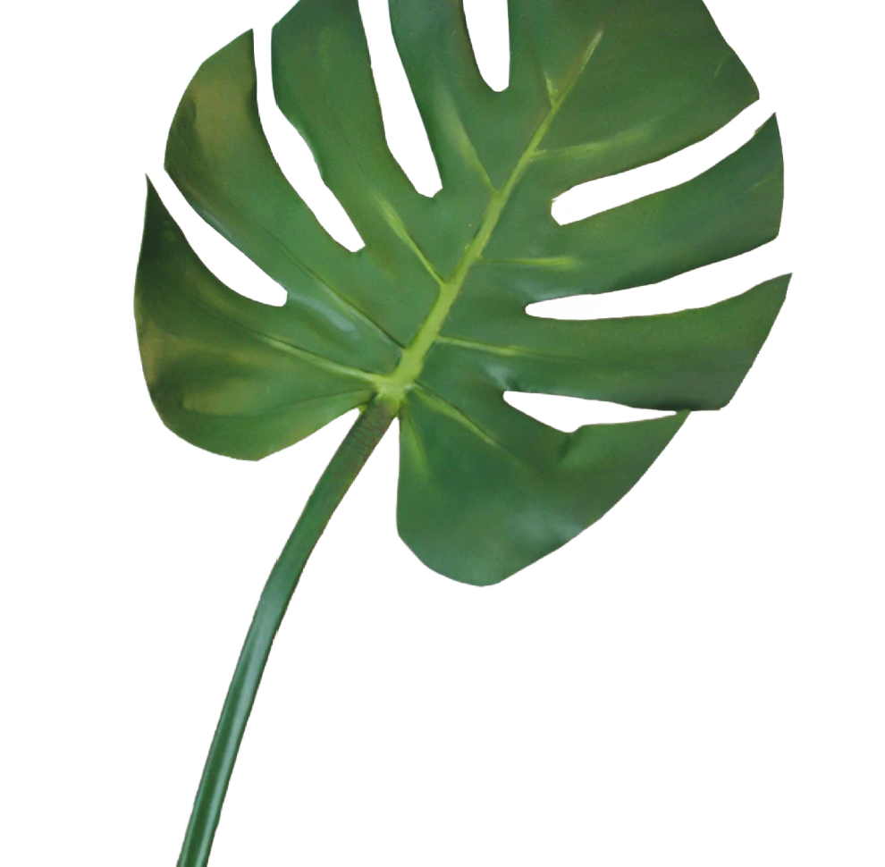 29" Monstera Leaf Spray