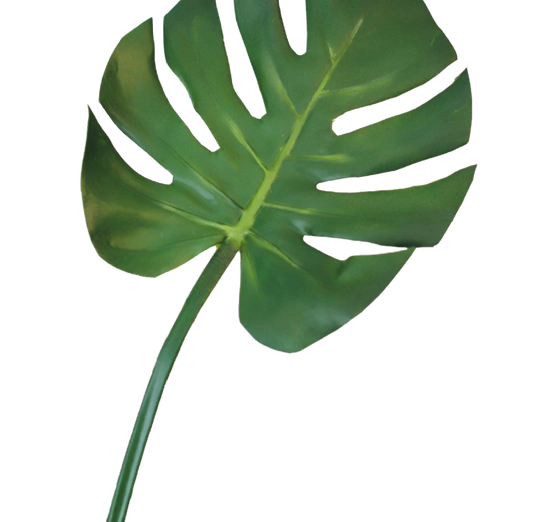 29" Monstera Leaf Spray