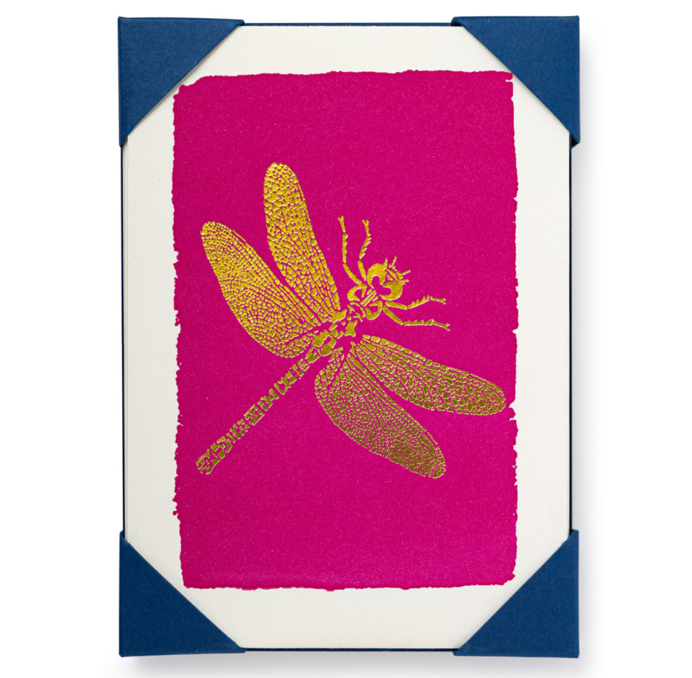 Dragonfly Note Card Set