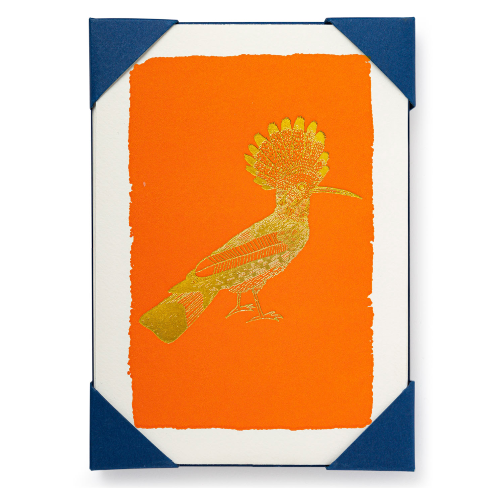 Orange Hoopoe Note Card Set