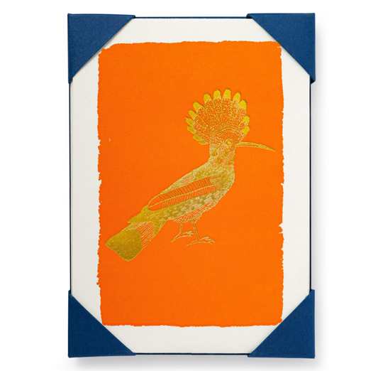 Orange Hoopoe Note Card Set