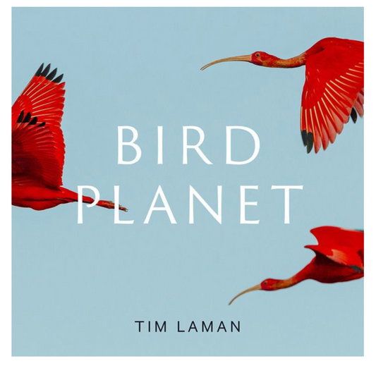 Bird Planet: A Photographic Journey