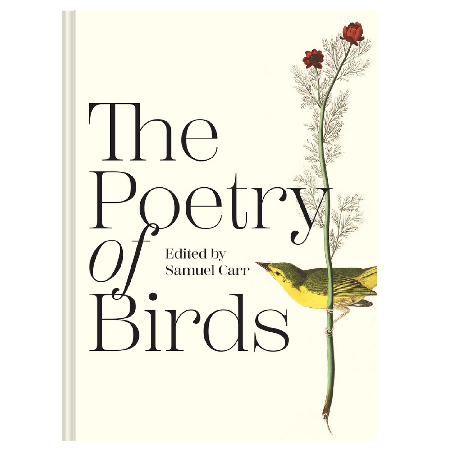 The Poetry of Birds