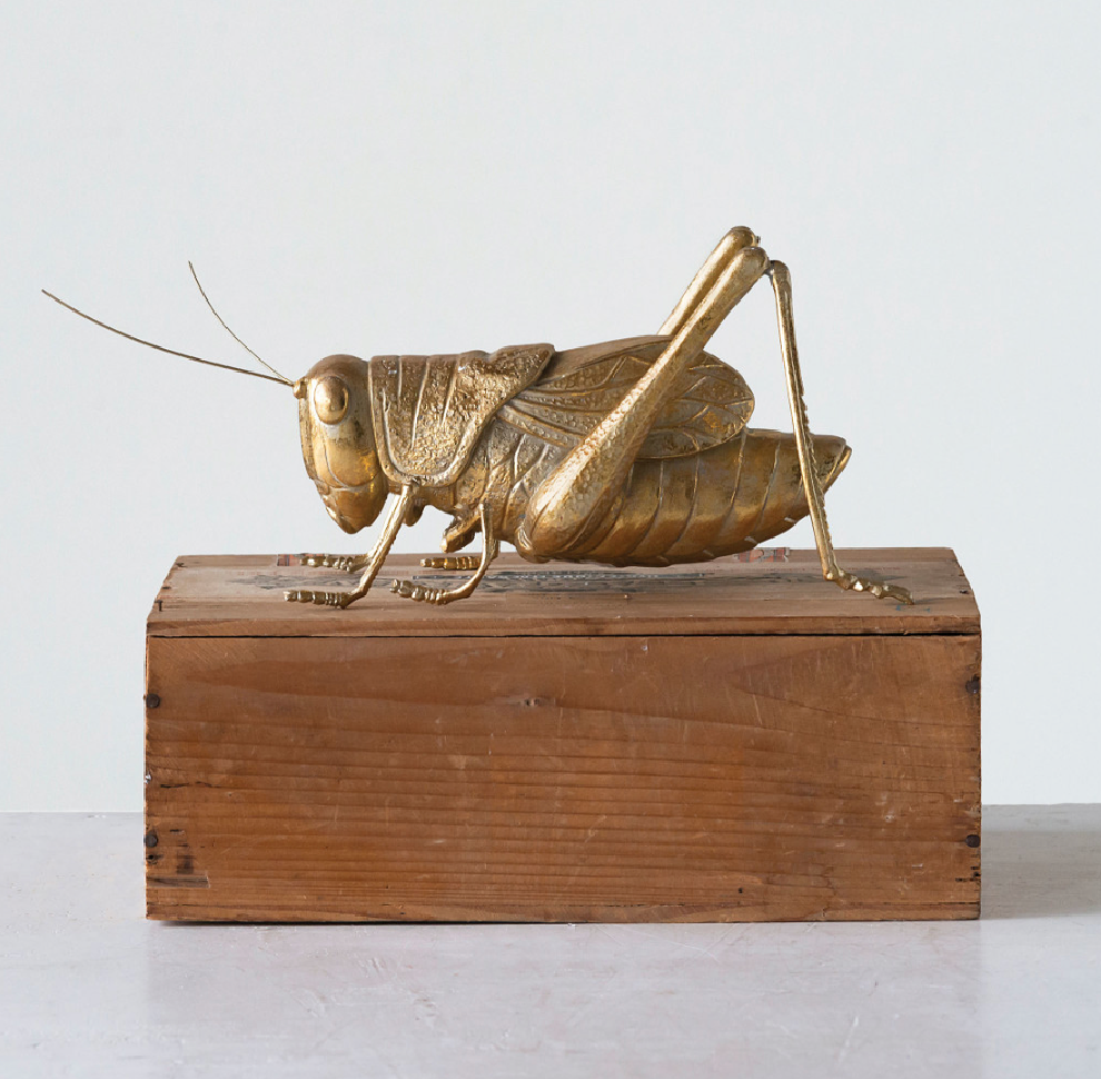 Resin Cricket