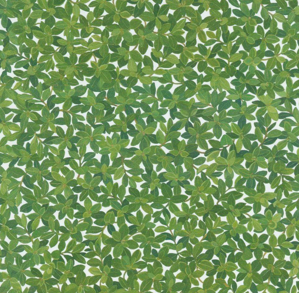 Boxwood Caspari Wrapping Paper