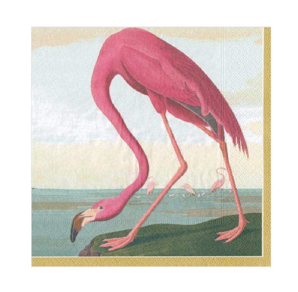 Audubon Birds Caspari Cocktail Napkin