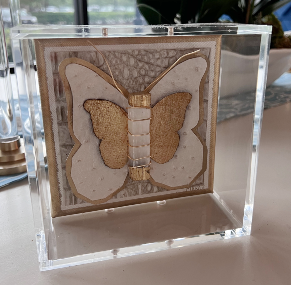 Butterfly 6x6 Acrylic Shadowbox Manly