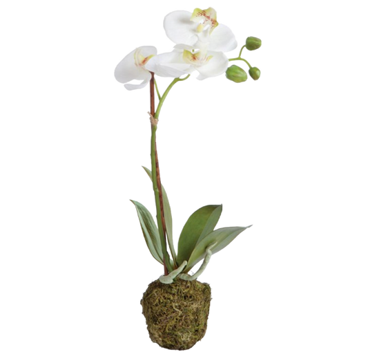 15" (Single Stem) Orchid Drop-in